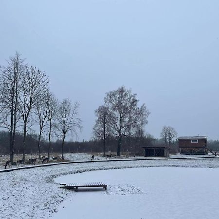Arciau Gamtos Anyksciai Villa Kurkliai Екстериор снимка