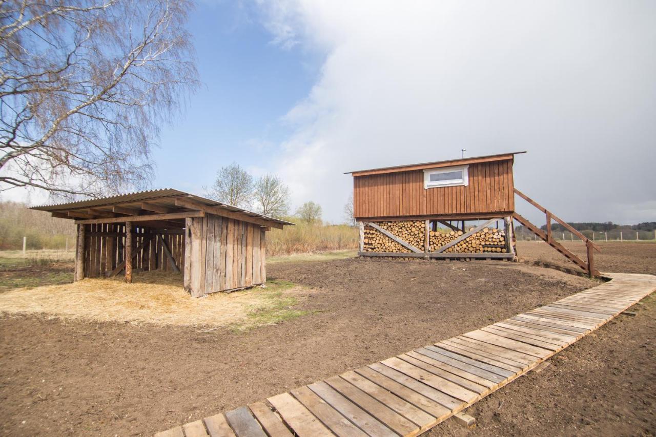 Arciau Gamtos Anyksciai Villa Kurkliai Екстериор снимка