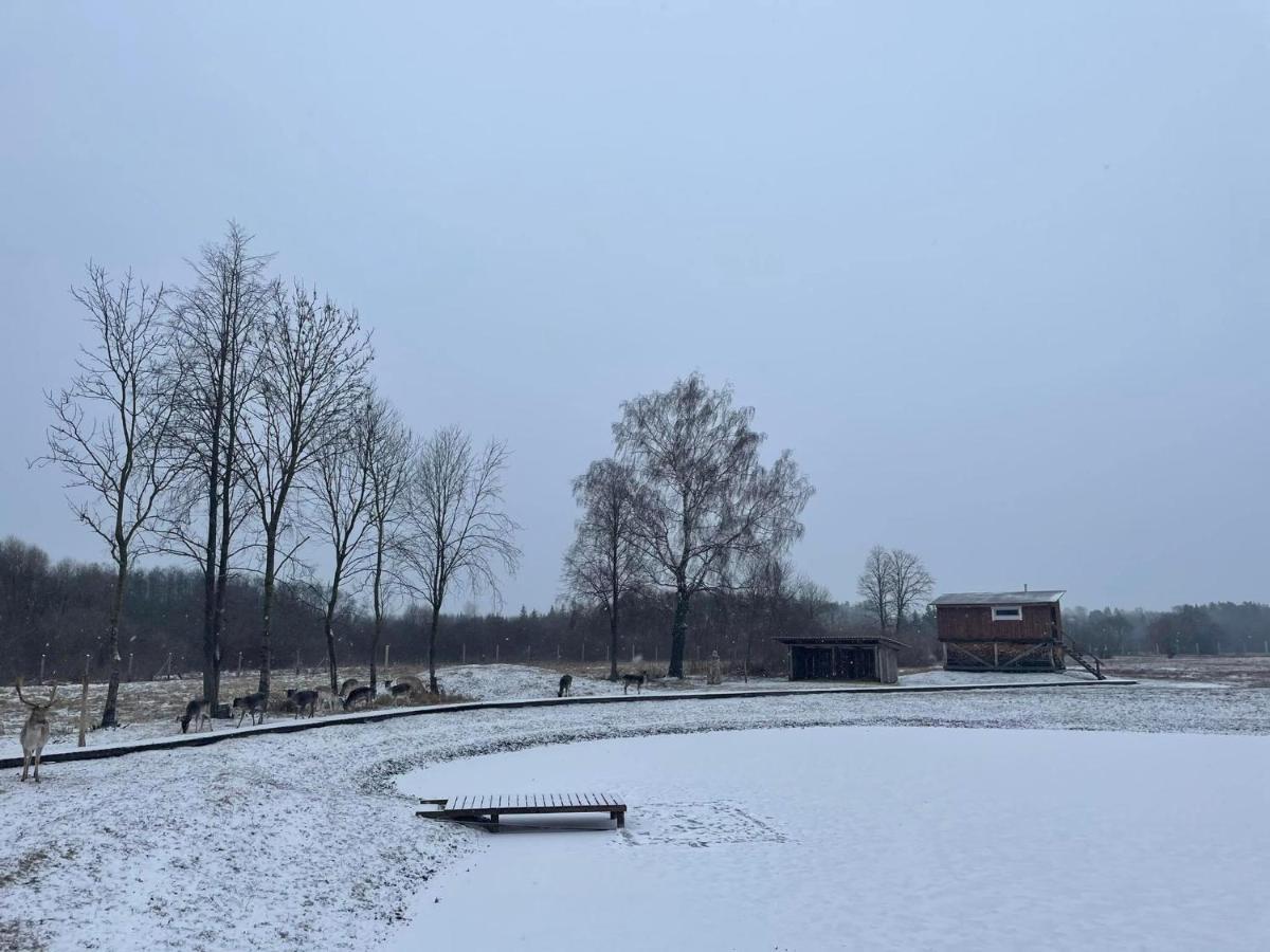 Arciau Gamtos Anyksciai Villa Kurkliai Екстериор снимка